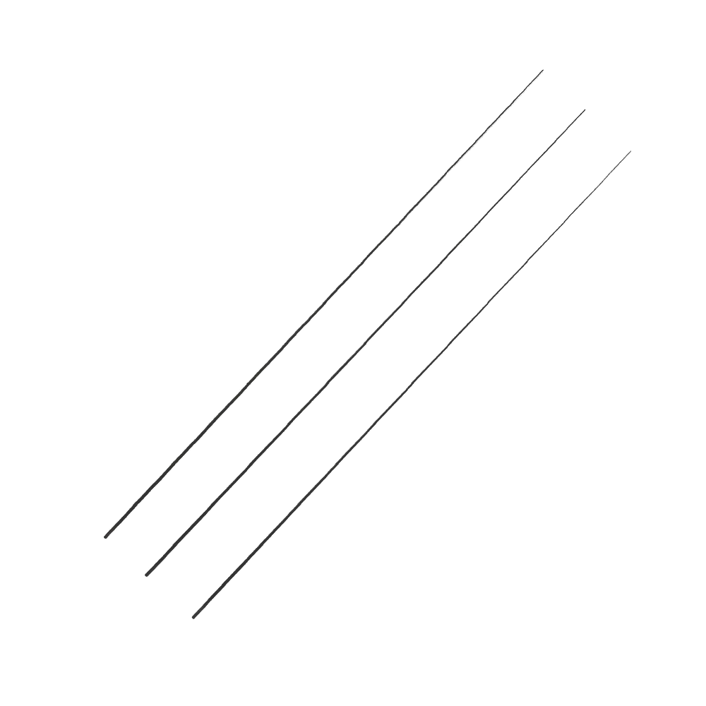 Scions carbone IN-MF10ft-20