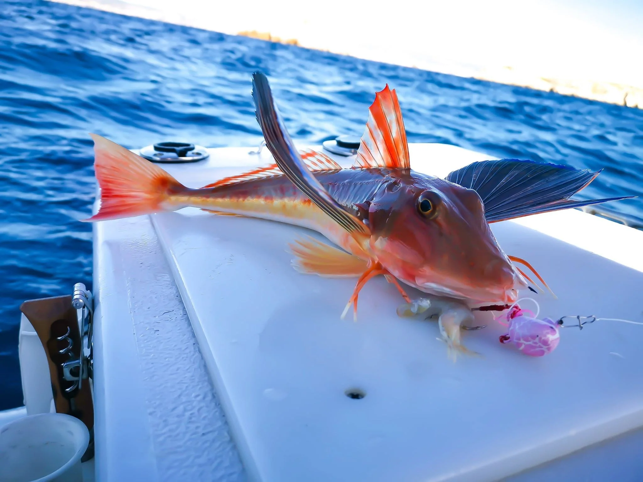 Snapper Beast 84 VS - Image 6