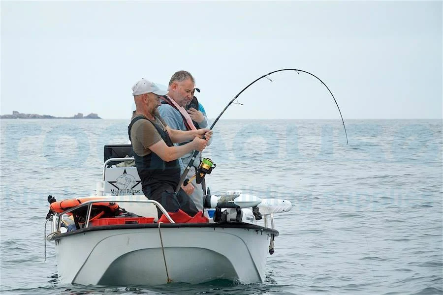 Tuna Express R710 - Image 11