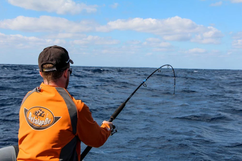 Tuna Express R710 - Image 9